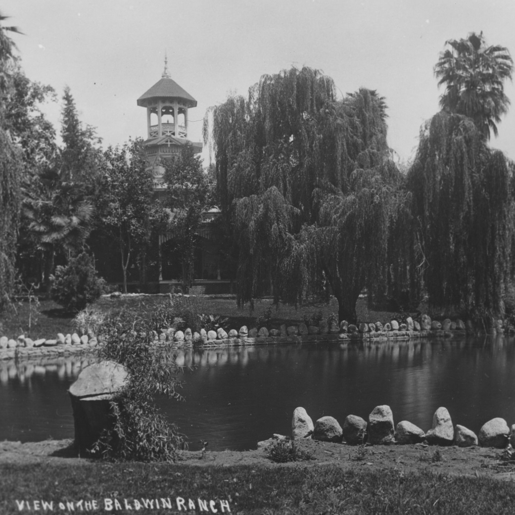 Baldwin Ranch